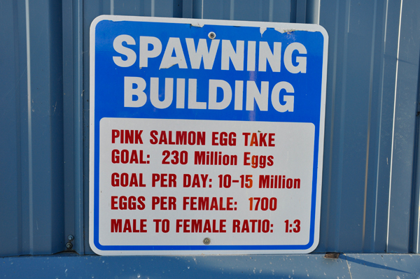 sign - spawing building